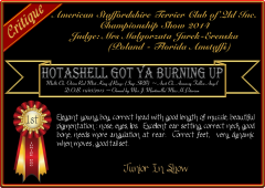 Hotashell Got Ya Burning Up.png